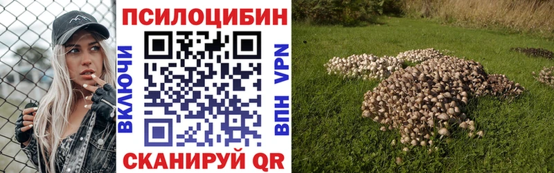 ссылка на мегу вход  Томилино  Галлюциногенные грибы Cubensis 